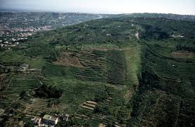 Coop. ERA e Accaparlante. Al via il campo estivo de ‘La macchina del tempo’